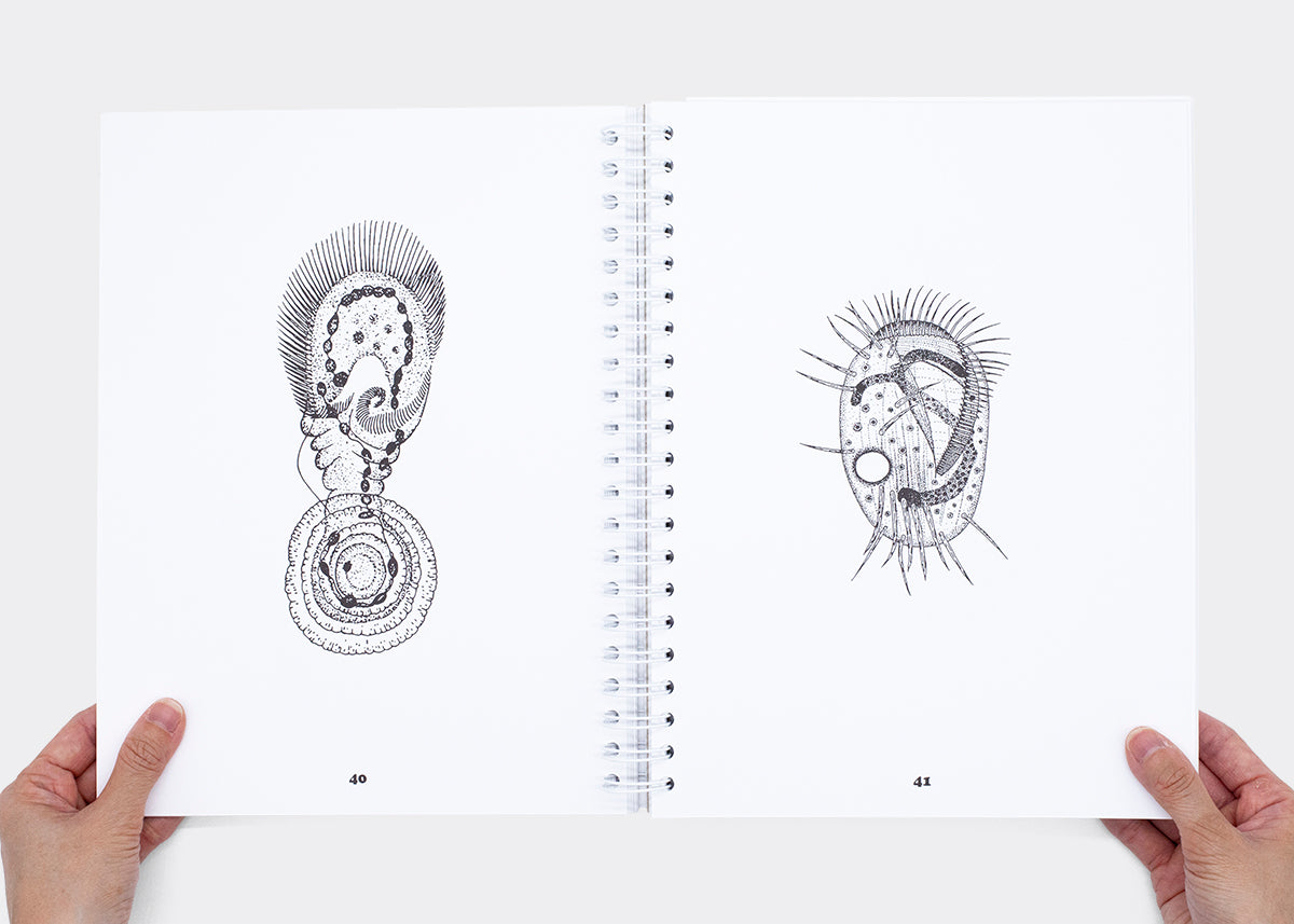 Animalcules Colouring Book